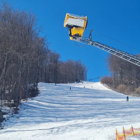 Snowland